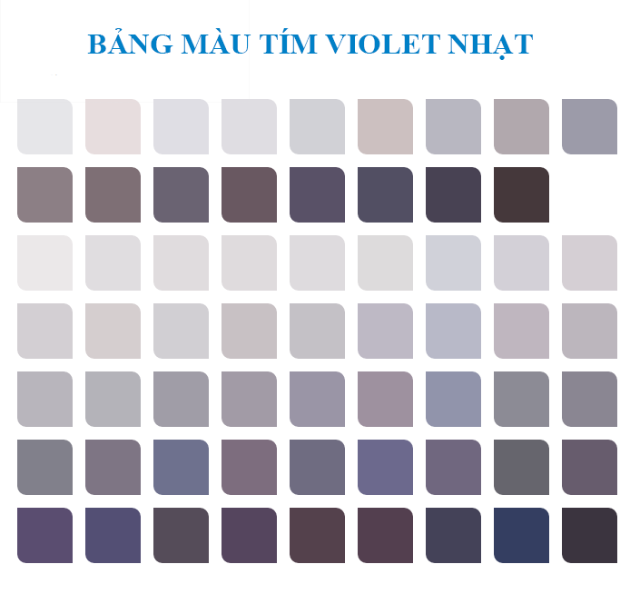 Bảng màu tím Violet nhạt