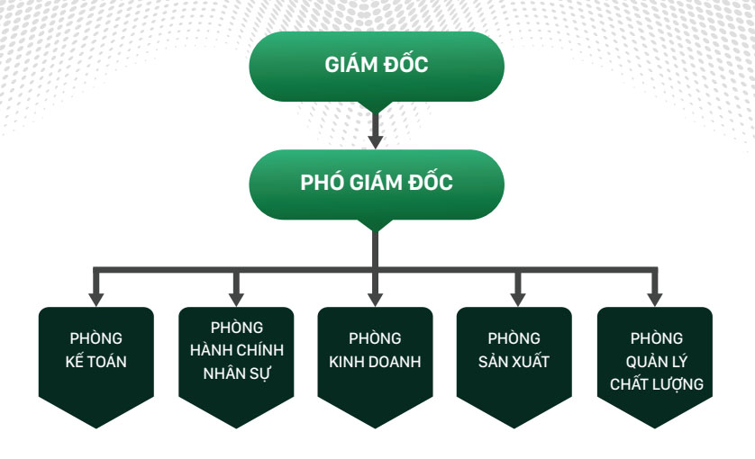 Sơ đồ tổ chức