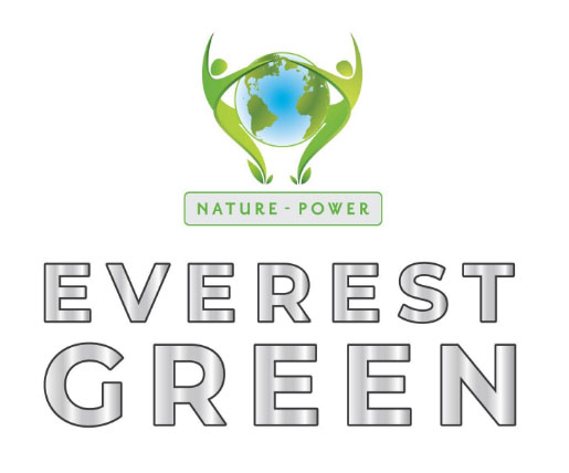 Năng lực nhân sự